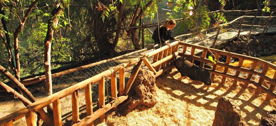 Maroparque Zoos auf La Palma