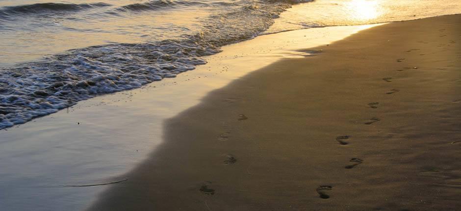 Playa de Maspalomas  Beliebte Strände auf Gran Canaria