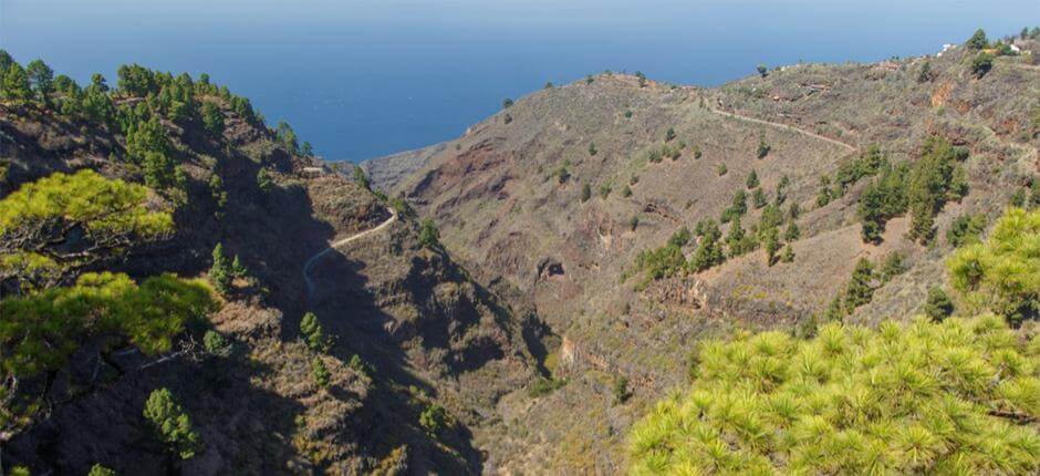 Aussichtspunkt Mirador de Izcagua auf La Palma