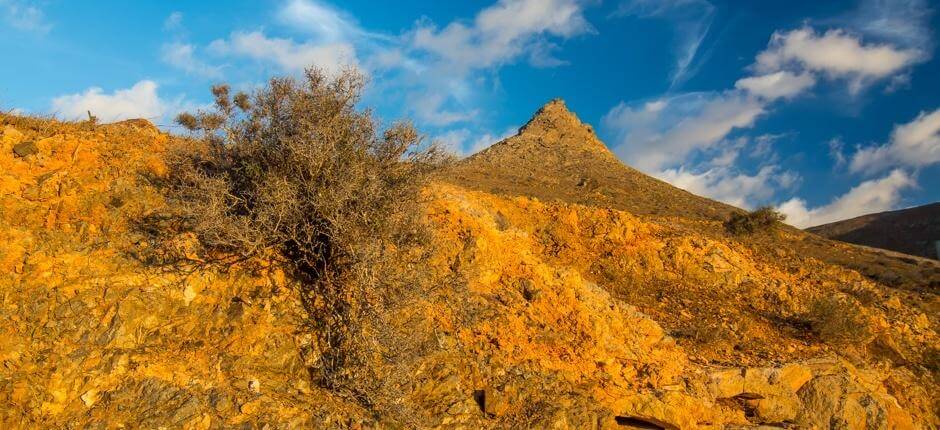 Aussichtspunkt Mirador de Las Peñitas auf Fuerteventura