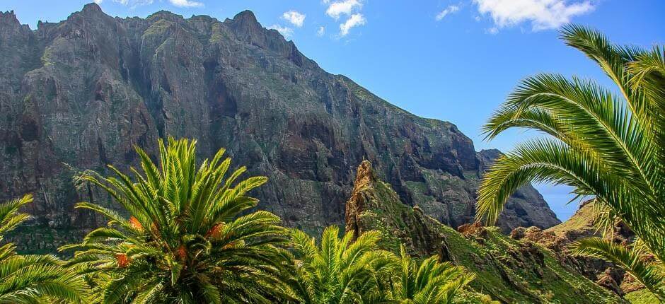 Masca + Sternbeobachtung auf Teneriffa