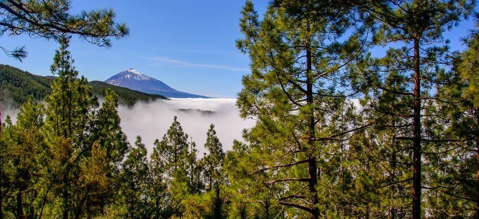 Aussichtspunkt Mirador de Ortuño auf Teneriffa