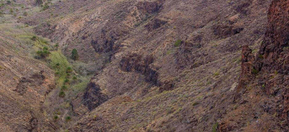 Aussichtspunkt Mirador de la Degollada de la Yeguas auf Gran Canaria