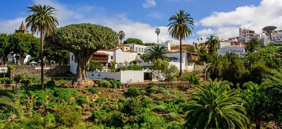 Parque del Drago Milenario Museen und Orte von touristischem Interesse auf Teneriffa