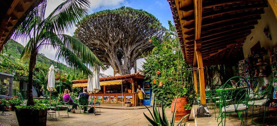 Parque del Drago Milenario Museen und Orte von touristischem Interesse auf Teneriffa