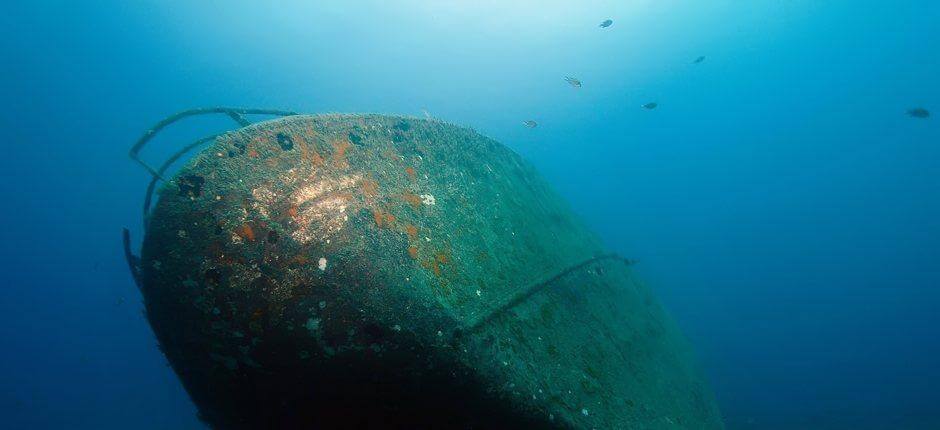 Tauchen in den Wracks von Mogán auf Gran Canaria