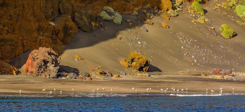 Playa de Antequera + Unberührte Strände auf Teneriffa