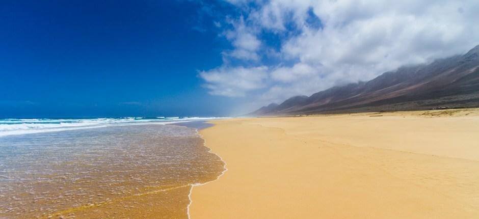Playa de Cofete + Unberührte Strände auf Fuerteventura
