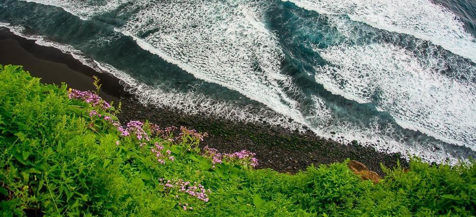 Playa de Los Patos + Unberührte Strände auf Teneriffa