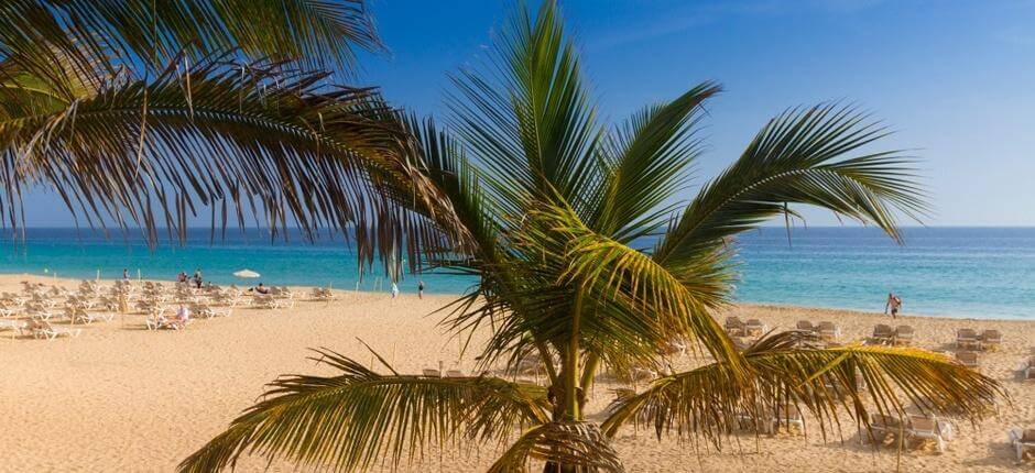Playas de Morro Jable Beliebte Strände auf Fuerteventura