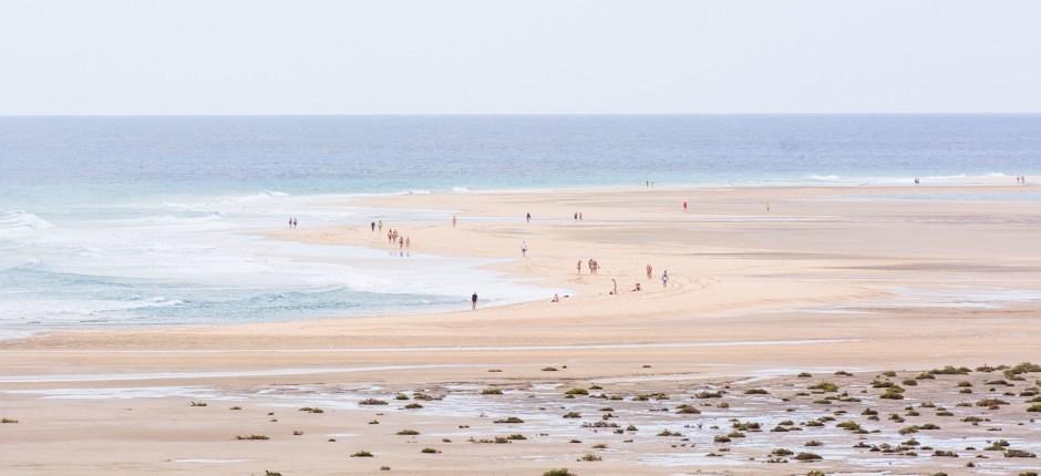 Playa de Sotavento + Unberührte Strände auf Fuerteventura