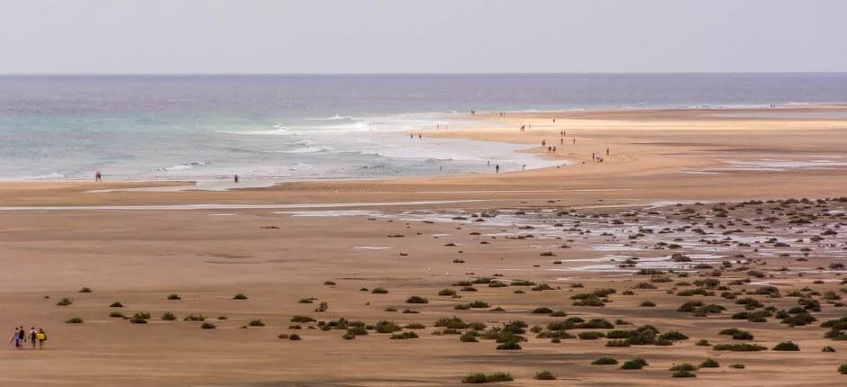 Kitesurfen am Strand von Sotavento  Kitesurf- Spots auf Fuerteventura