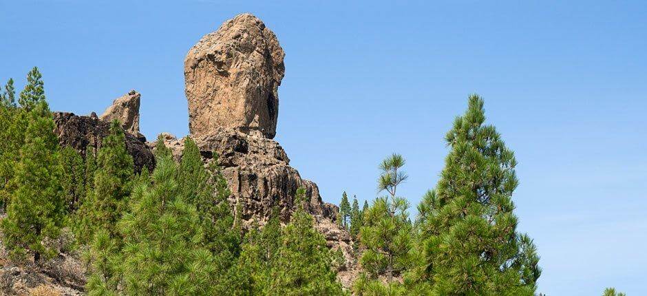 Roque Nublo + Wanderwege auf Gran Canaria