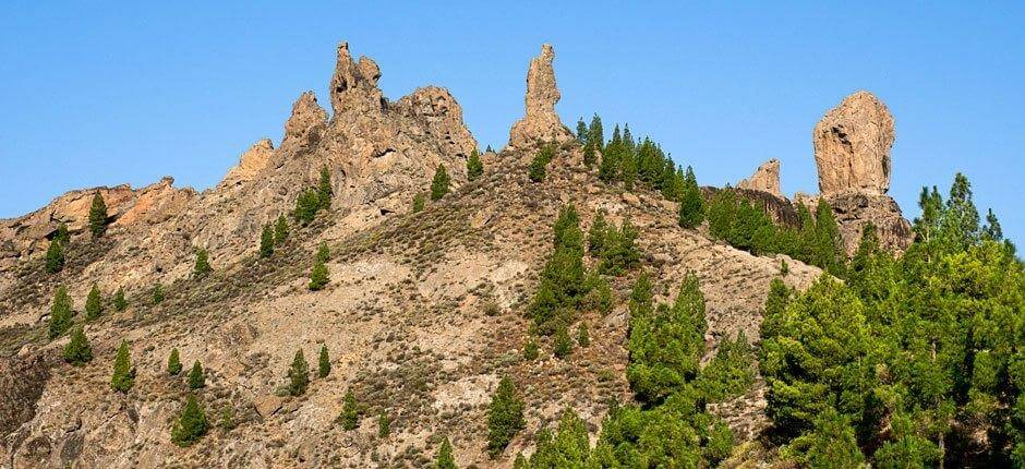 Roque Nublo + Wanderwege auf Gran Canaria