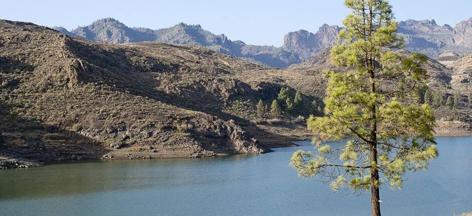 Wanderweg Ruta de las Presas  Wanderwege auf Gran Canaria