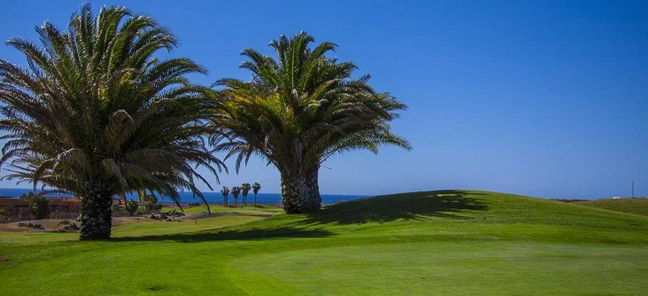 Golf Club Salinas de Antigua Golfplätze auf Fuerteventura
