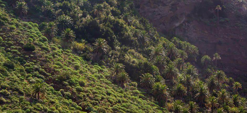 Taguluche Dörfer auf La Gomera