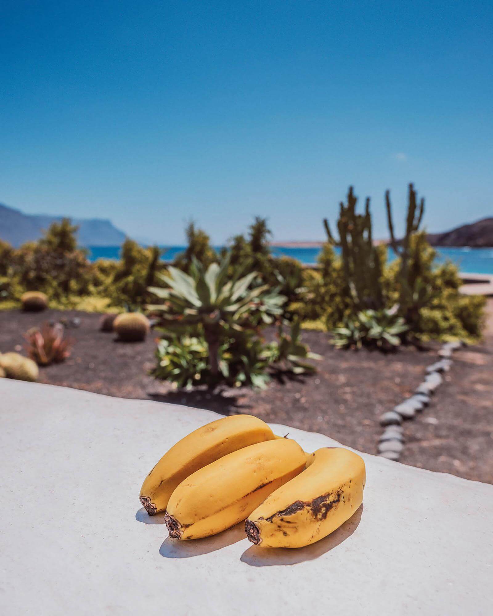 Bananen von den Kanarischen Inseln