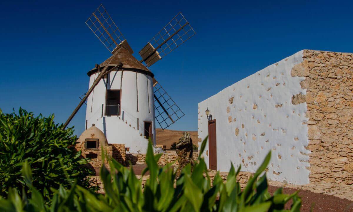 Banner museos y visitas de interés en las Islas Canarias.