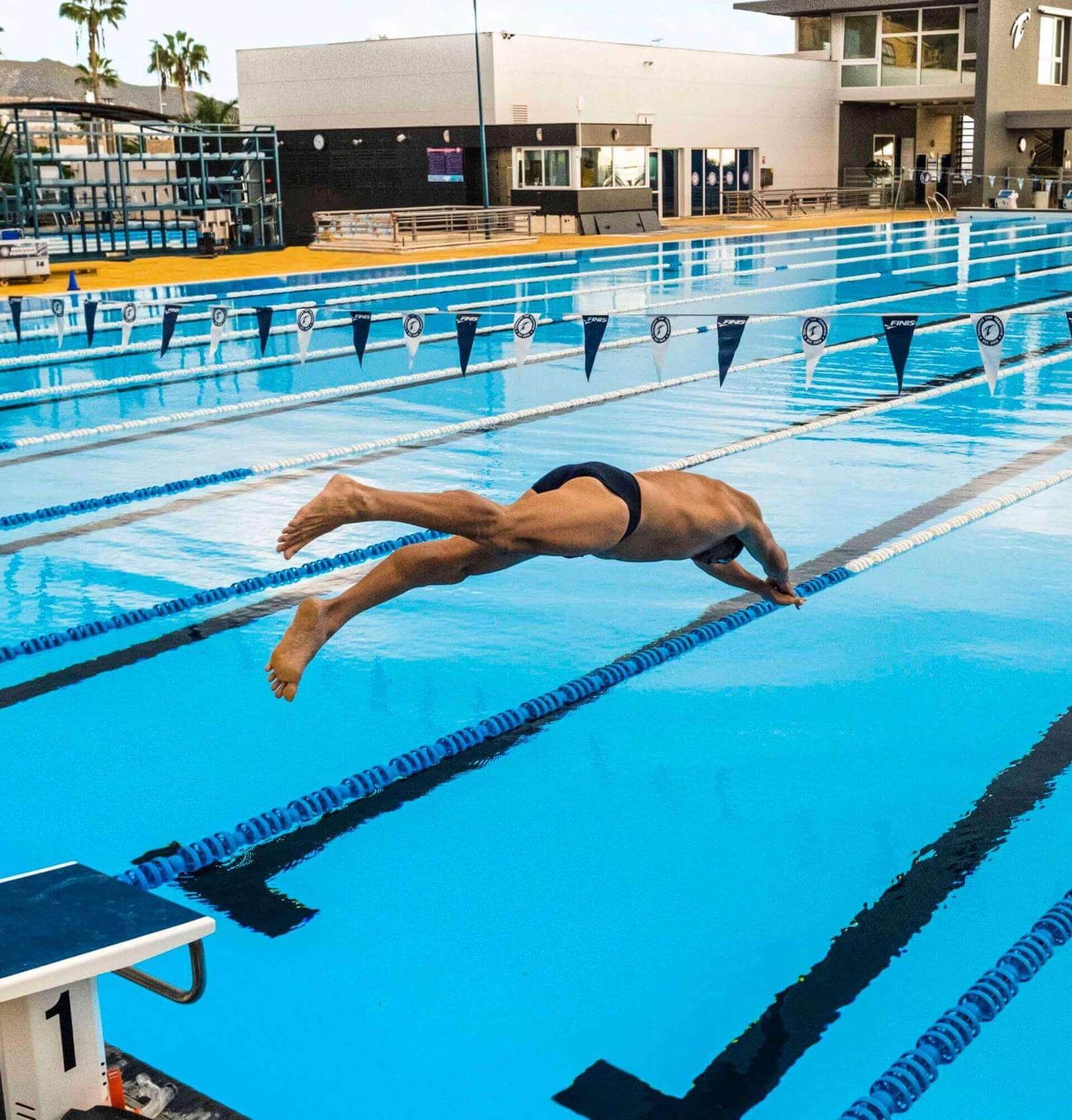 Eine Person beim Sprung in ein olympisches Freibad mit Bahnen und Sportgebäude im Hintergrund.