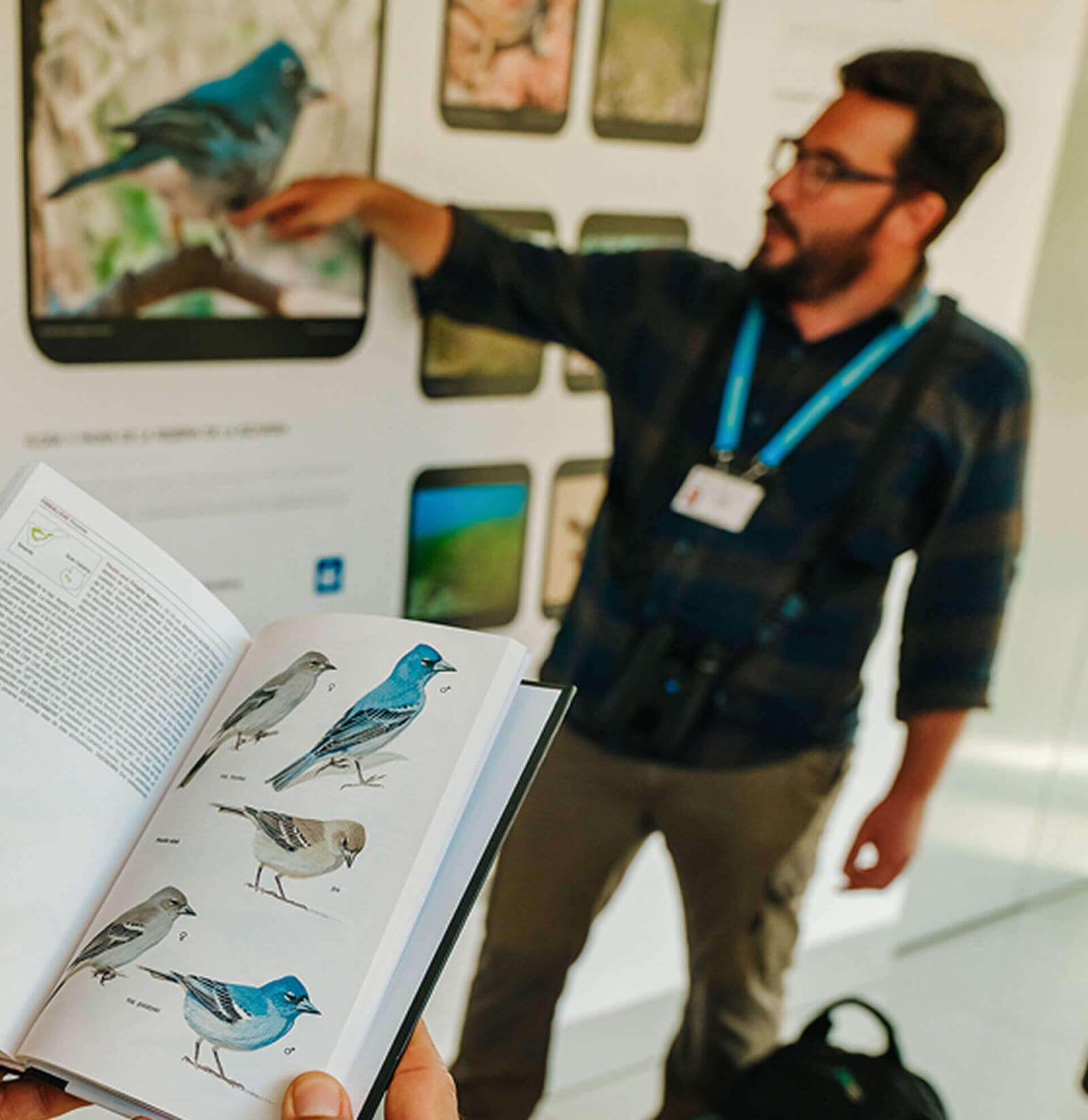 Ein Guide zeigt erklärend auf das Bild eines Blaufinken auf einer Infotafel am Aussichtspunkt.