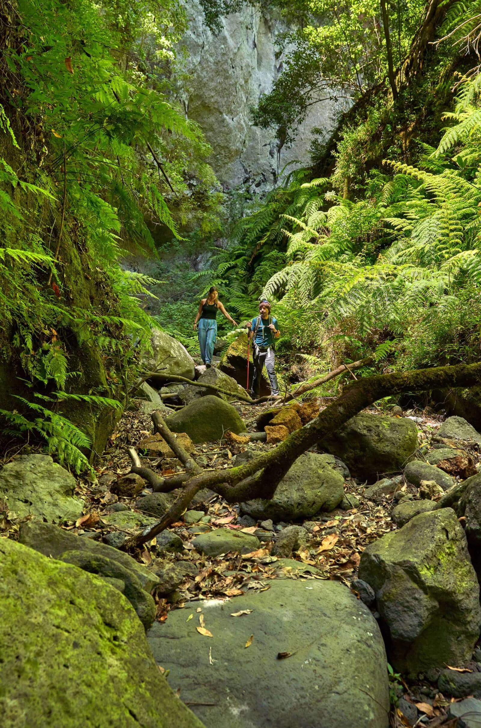 Zwei Personen wandern zwischen Felsen und Farnen im Lorbeerwald Los Tilos.