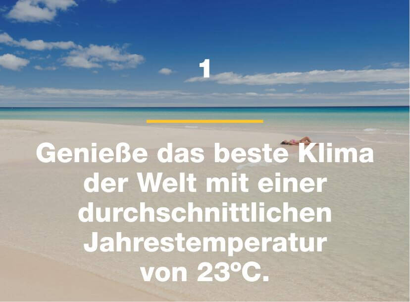 Genieße das beste Klima der Welt mit einer durchschnittlichen Jahrestemperatur von 23ºC.