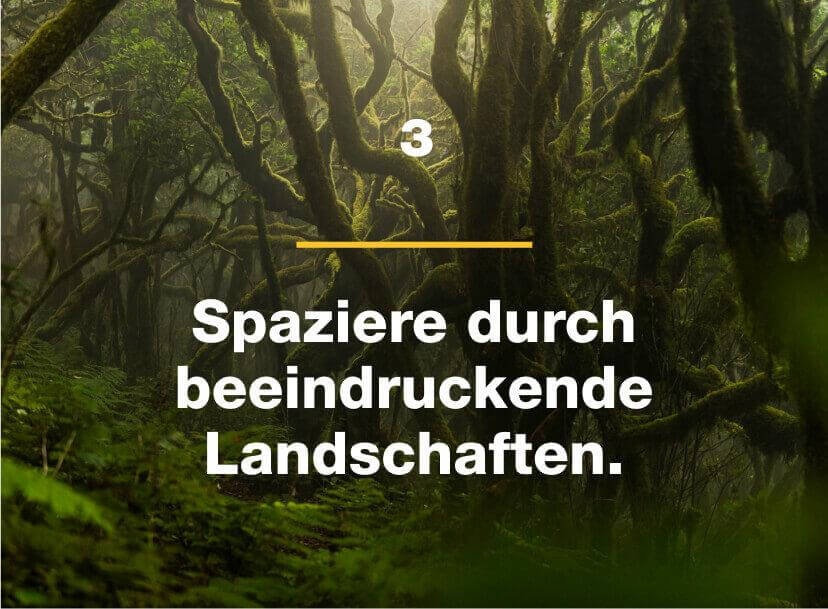 Wandere durch beeindruckende Landschaften.