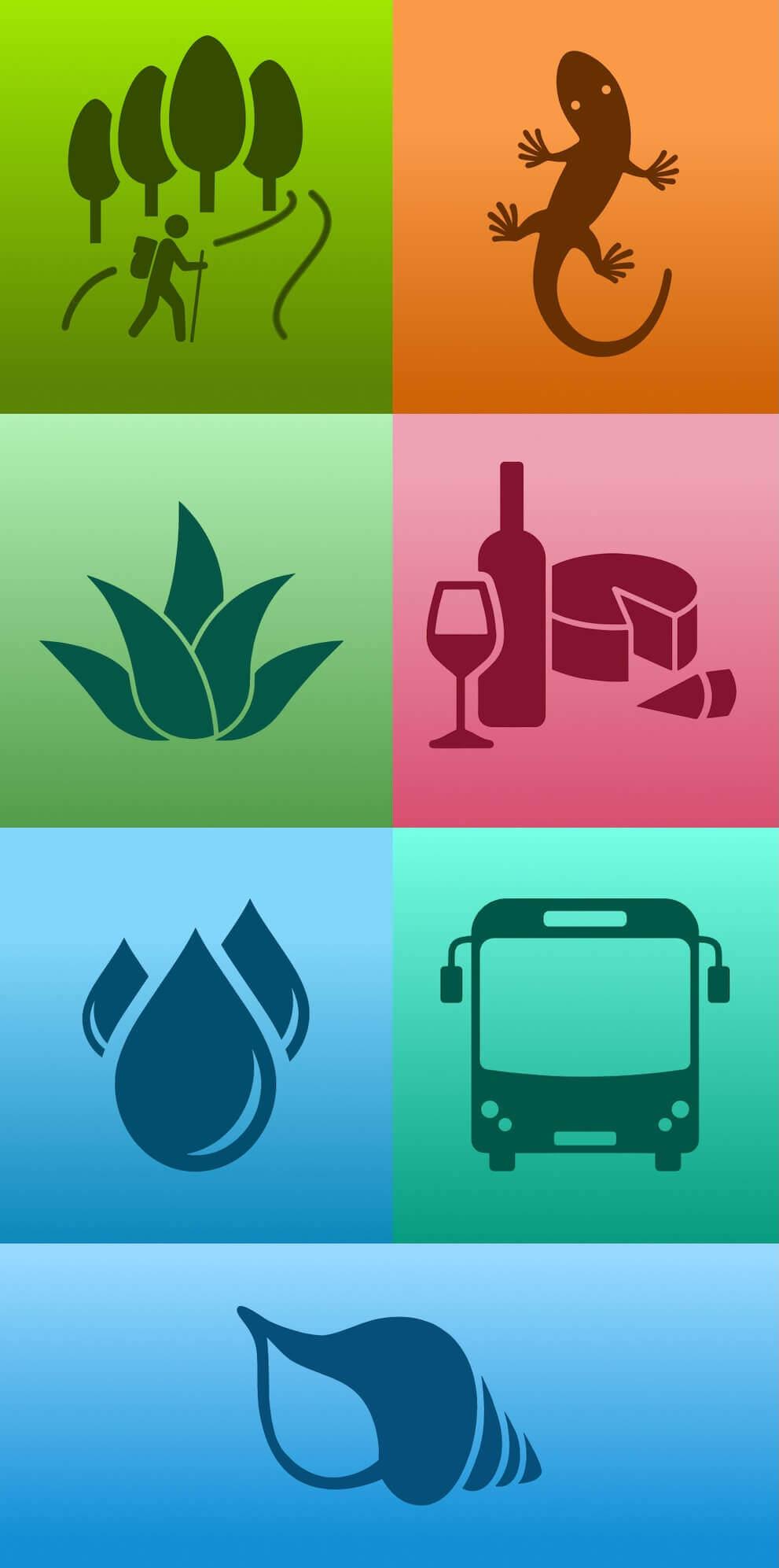 Iconos turista responsable