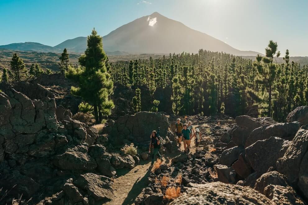 Gruppe beim Wandern zwischen vulkanischen Felsen und Kanarischen Kiefern mit dem Teide im Hintergrund.