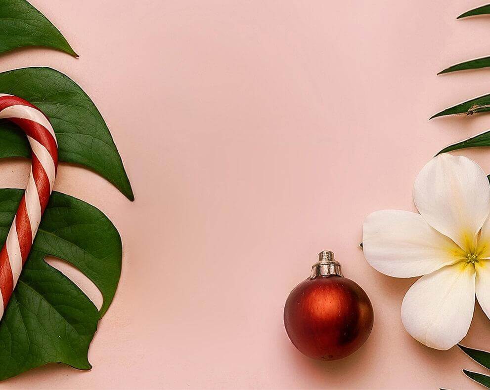 Rosa Hintergrund mit grünem Blatt, Blume und Weihnachtsdekoration.