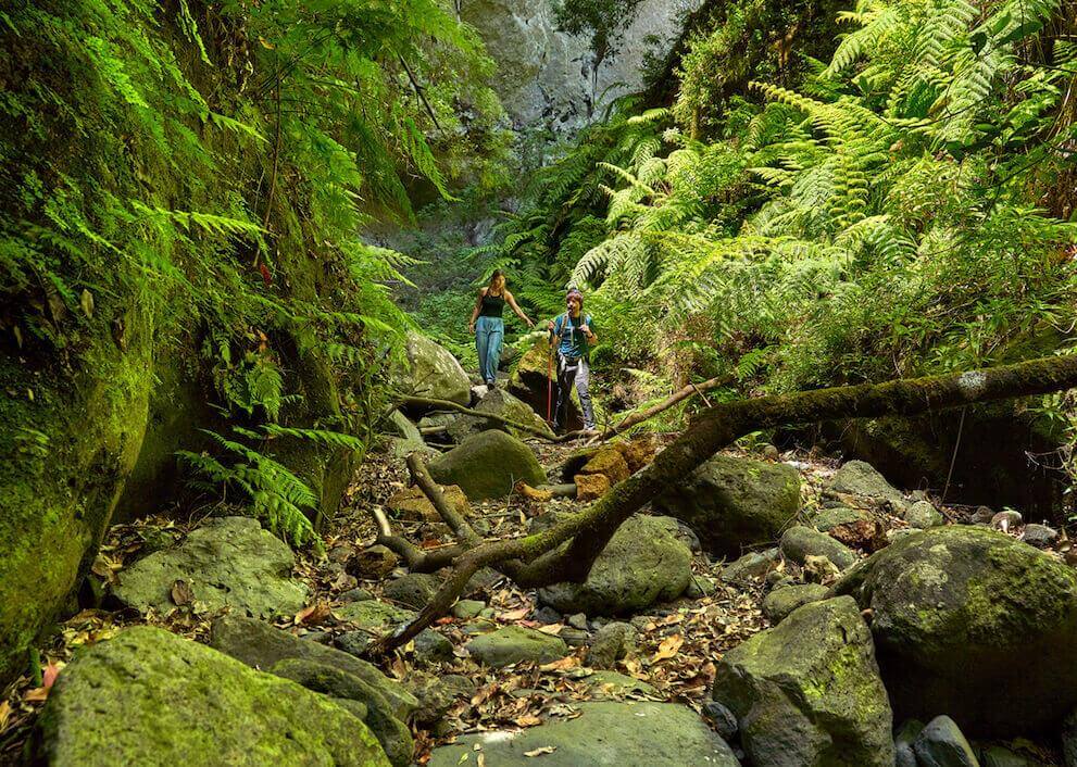 Zwei Personen wandern zwischen Felsen und Farnen im Lorbeerwald Los Tilos.