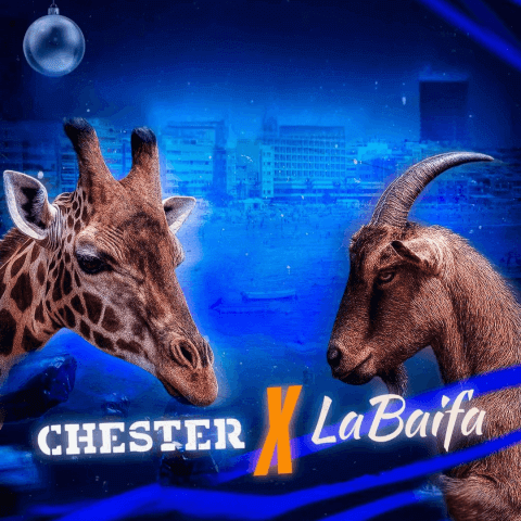 chester_x_la_baifa