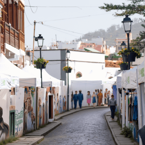 feria_artesanal_comercial_moya