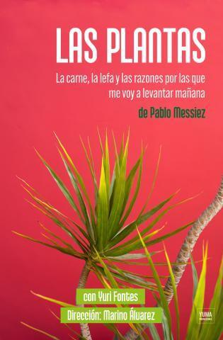 las plantas