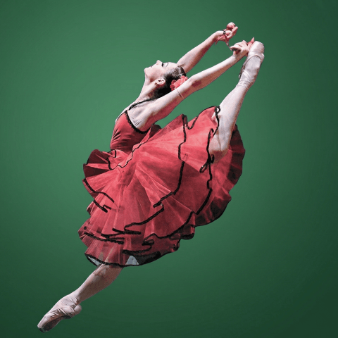 starsgallaclasic2026