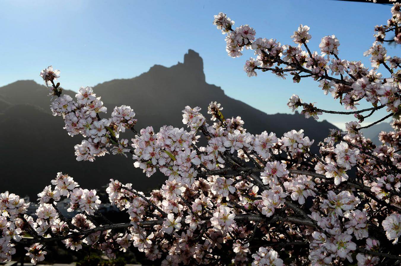 Tejeda, Gran Canaria.