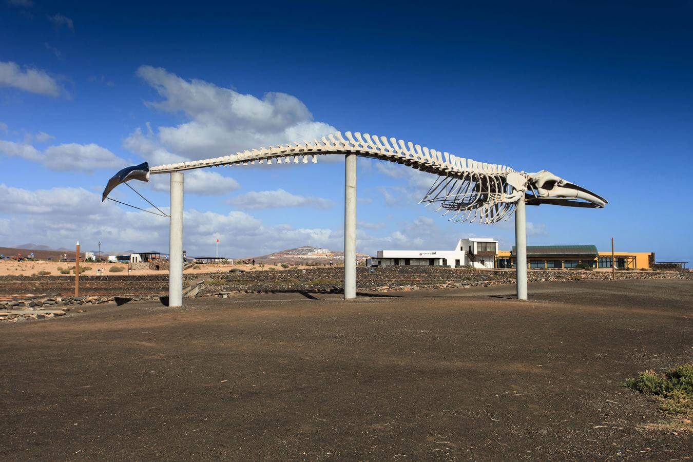 Fuerteventura. Salinas del Carmen