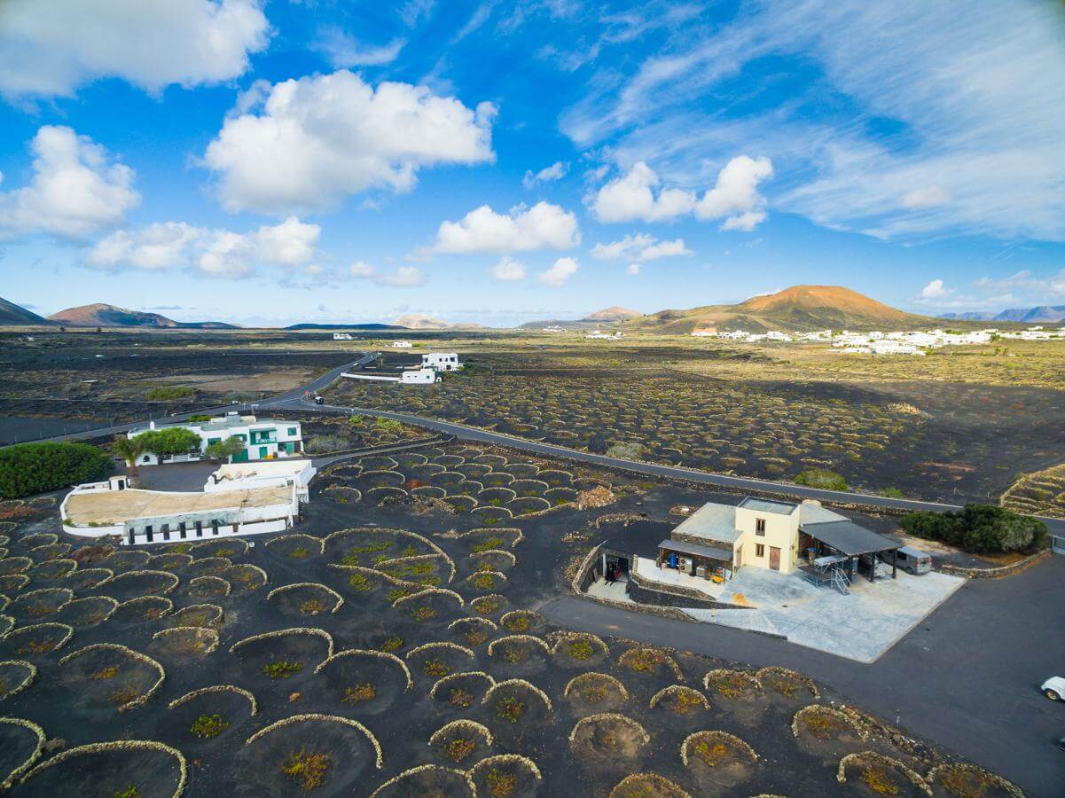 Lanzarote. La Geria