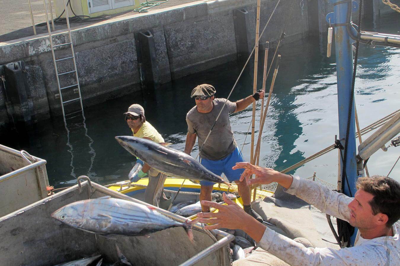 El Hierro. Pesca  Artesanal. David Pavon.