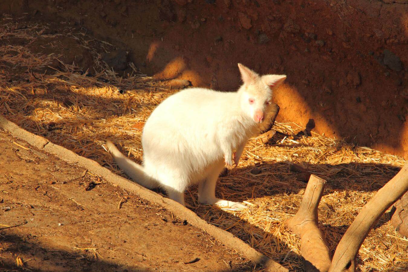 Maroparque