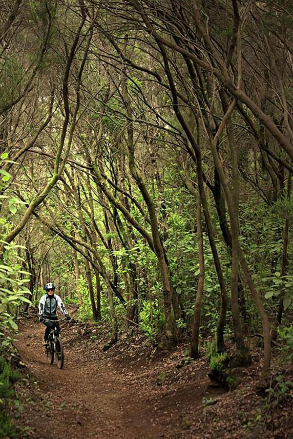 Tenerife. Ciclismo