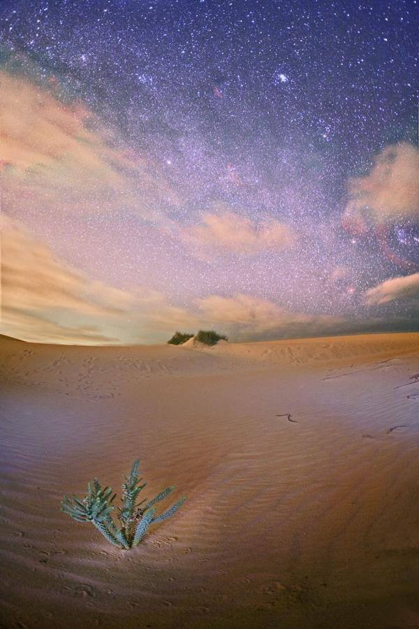 Fuerteventura. Parque Natural Dunas de Corralejo