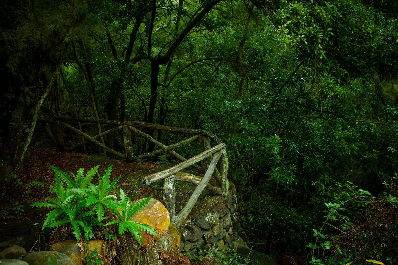 La Gomera. La Meriga