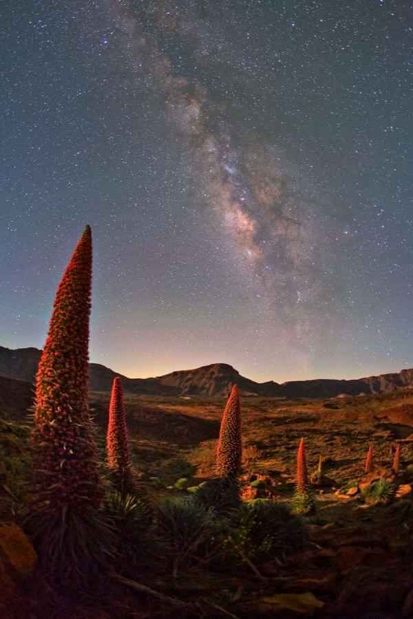 Tenerife. El Teide