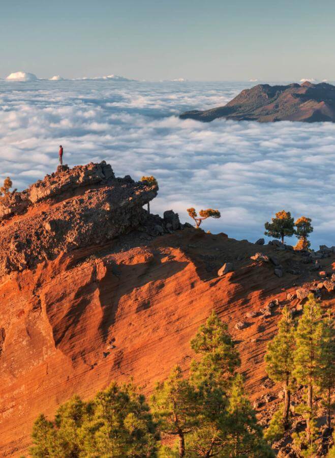 Die Punta de Los Roques auf La Palma mit beschienenem Vulkankamm, Wolkenmeer und Kiefernwald im Vordergrund.