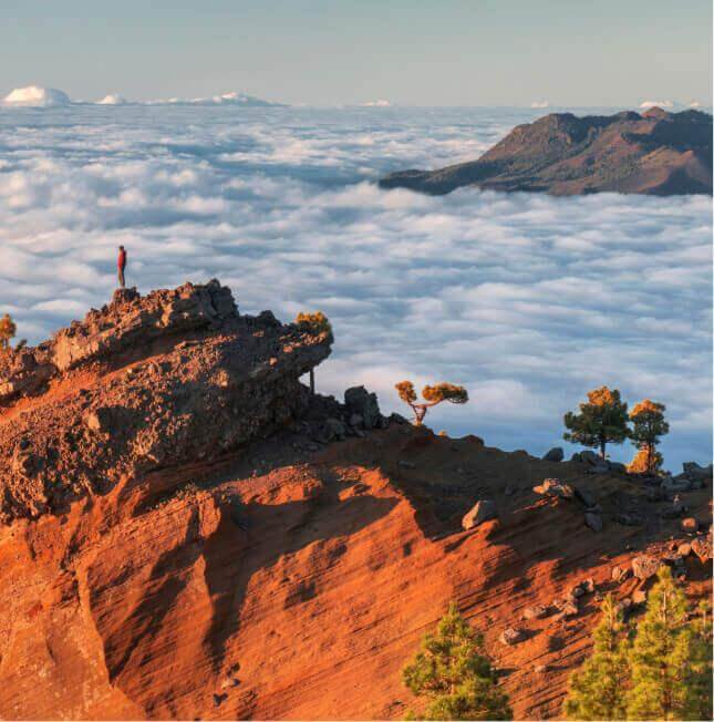Die Punta de Los Roques auf La Palma mit beschienenem Vulkankamm, Wolkenmeer und Kiefernwald im Vordergrund.