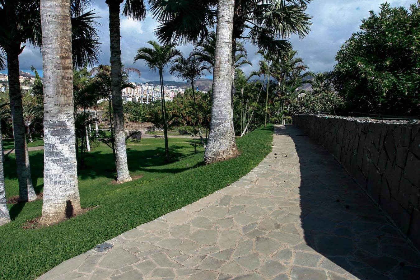 Visita a pie a la mejor colección de palmeras tropicales - galeria3
