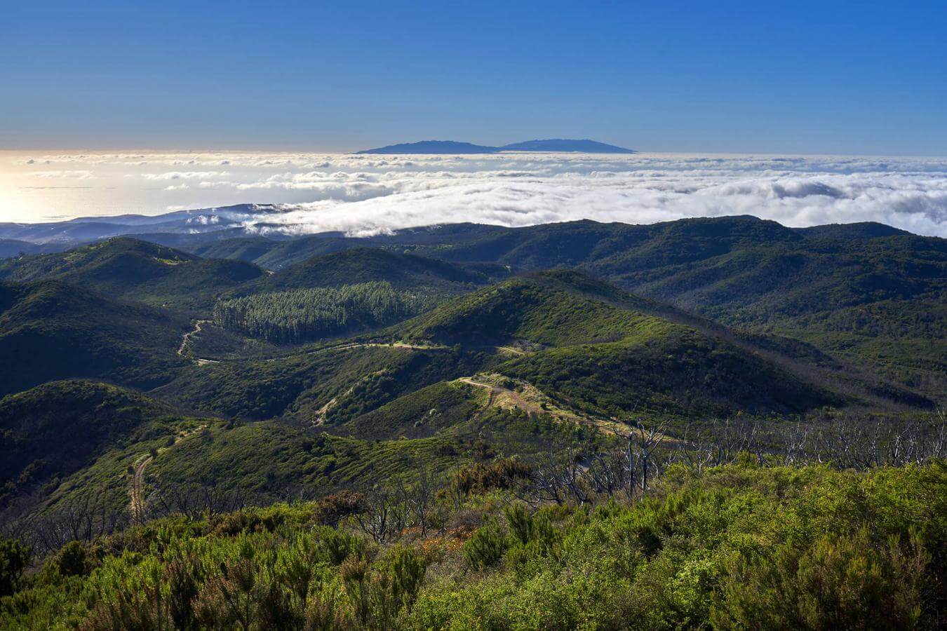 Ruta de los miradores: Los Roques, El Bailadero, El Rejo, Manaderos - galeria4