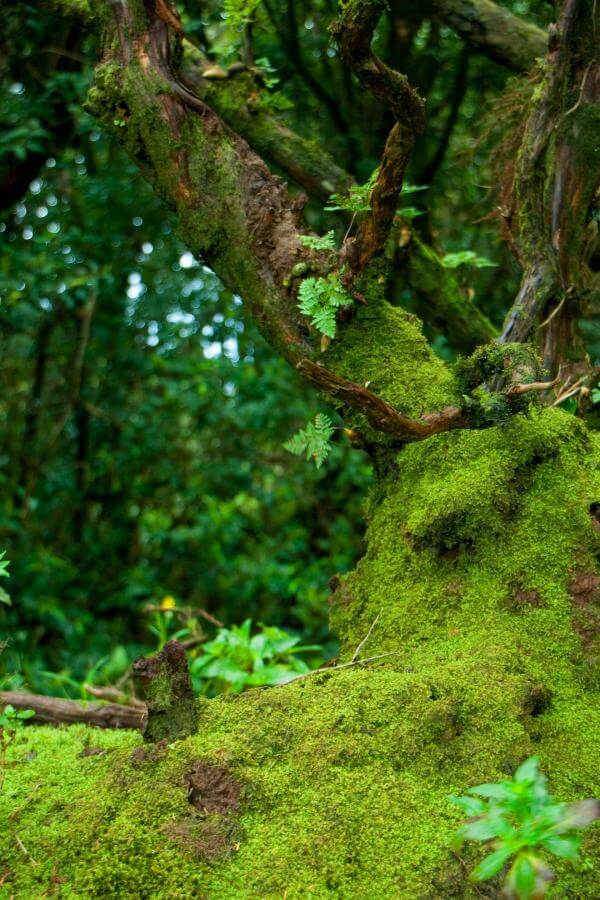 Una excursión a un espacio natural y una experiencia sensorial - galeria1